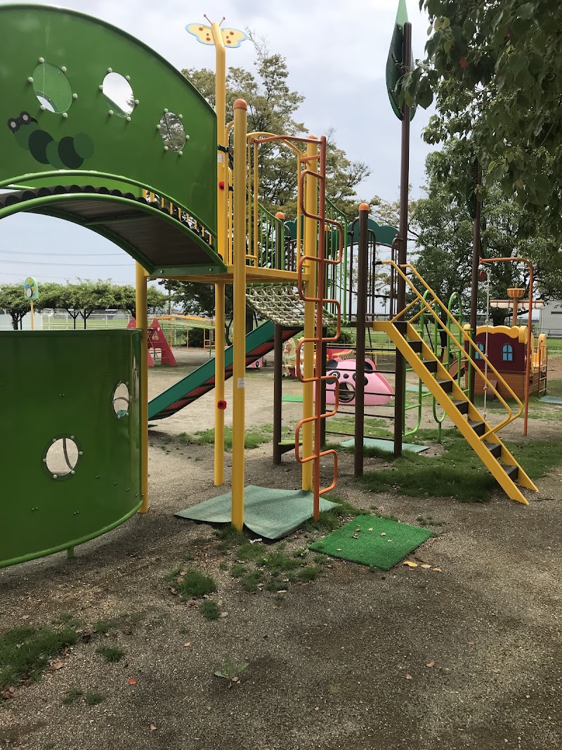 あおいこども園