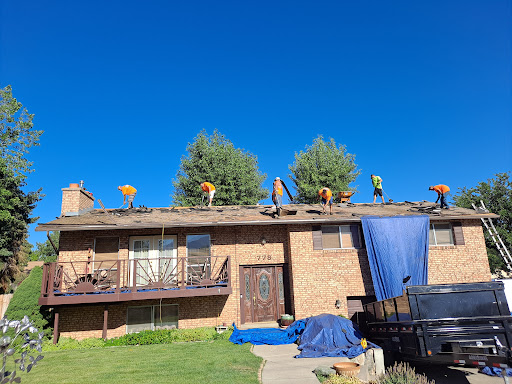 SOS Roofing - Visual