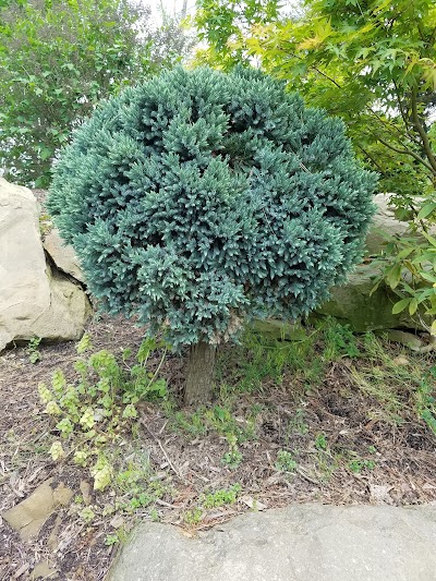 Photos of Secrest Arboretum
