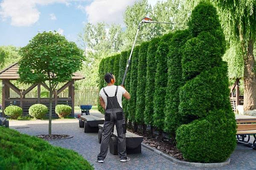 Paysage Nature, votre paysagiste local à Le Pin (77) et en Seine-et-Marne

Avoir un beau jardin est un vrai p...