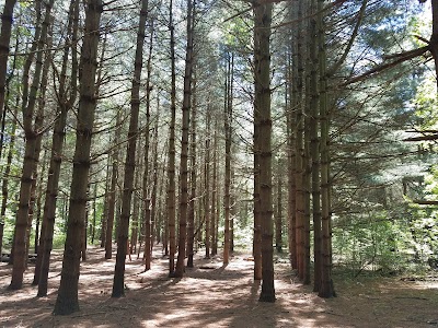 Killens Pond State Park Campground Entrance