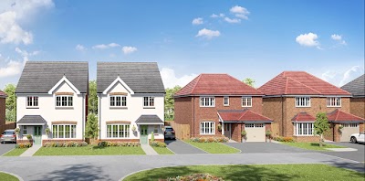 Deva Green - Anwyl Homes