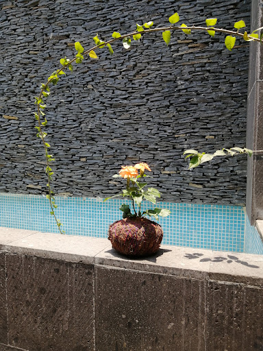 Kokedama love - Thumbnail