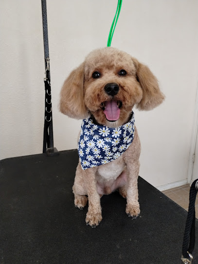 Realm of Pawsibilities