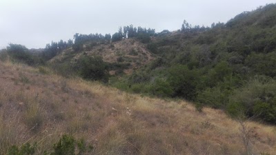 Photos of quillaicillo