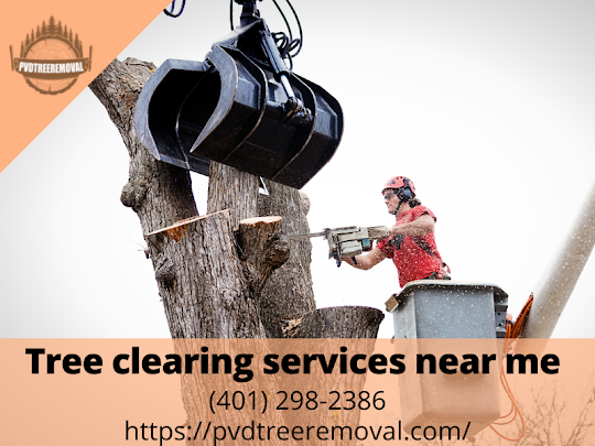 warwick tree service