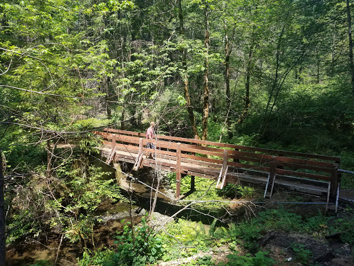 Big Pine Campground - Visual