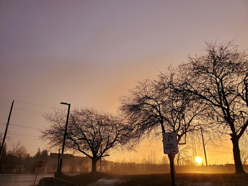 Corolla Park - Thumbnail