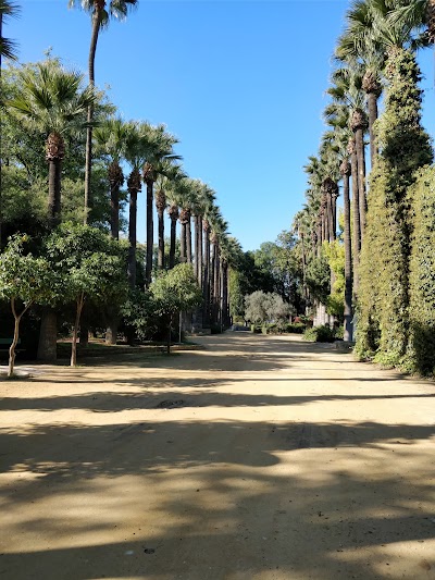 Photos of &Delta;&eta;&mu;&omicron;&tau;&iota;&kappa;ό&sigmaf; &Kappa;ή&pi;&omicron;&sigmaf; &Lambda;&epsilon;&upsilon;&kappa;&omega;&sigma;ί&alpha;&sigmaf;