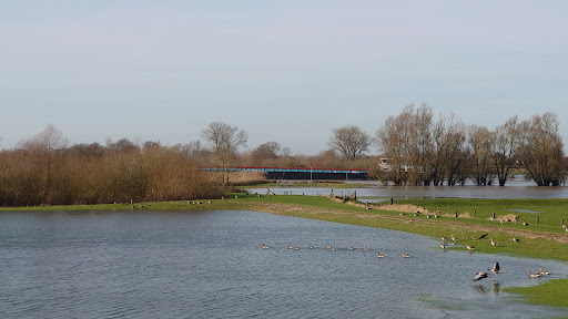 Inlaat IJssellinie Gallery - Netherlands