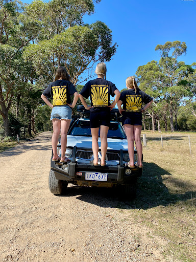 Backpackercars Australia - Visual