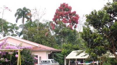 Photos of Colegio Primero de Mayo