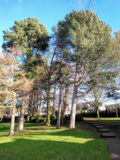 Coronation Park Playground