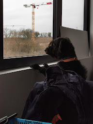 Photo n°13 de TDR TRANSPORTS à Saint-Quentin-Fallavier (Société de transport routier)