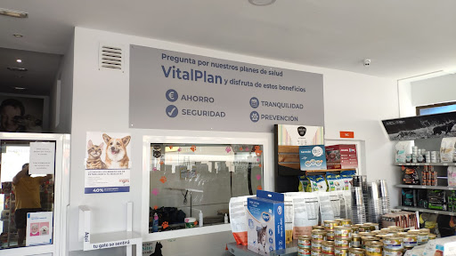Veterinary clinics Snoopy - Thumbnail
