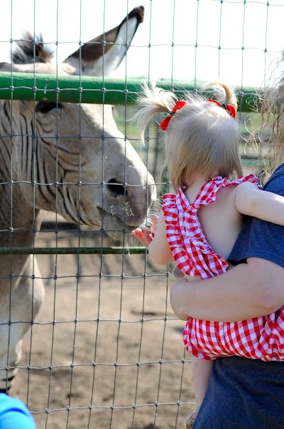 mesquite tree hill ranch and zoo