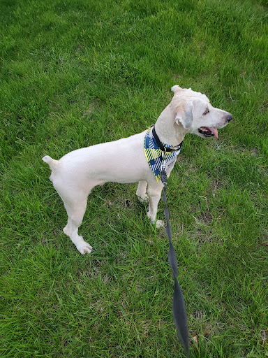 Southwest Animal Care Center Gallery - United States