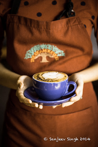Sycamore Tree Coffee Shop Gallery - Australia