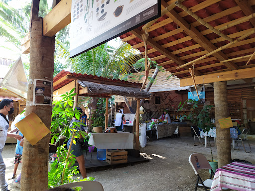 Pochote Organic Market