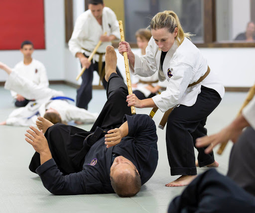 Shindokan Budo - Long Island - Thumbnail