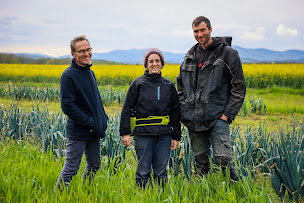 Photo n°3 de Le Biau Potager à Reppe (Ferme bio)