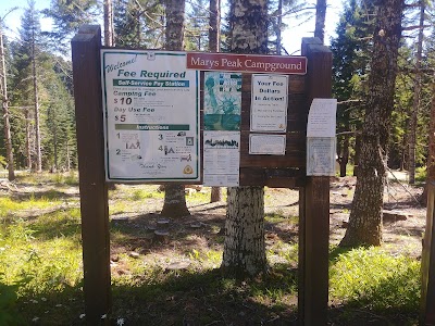 Marys Peak Campground