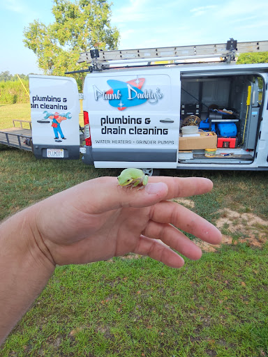 Avatar for Plumb Daddy's