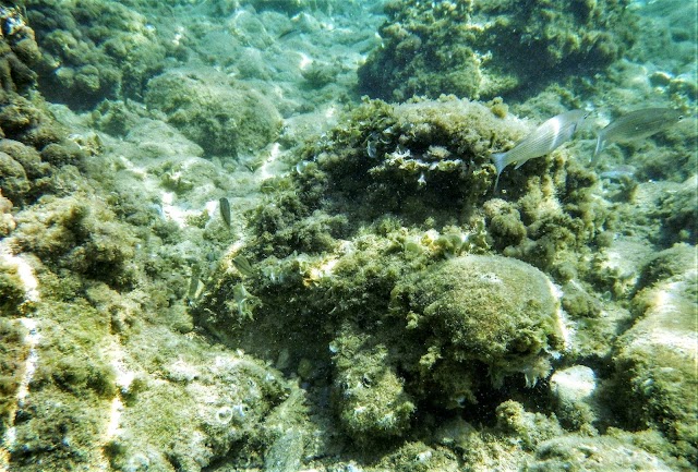 Mar Morto - Spiaggia