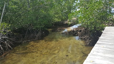 Photos of Waisai Beach Hotel (WBH)