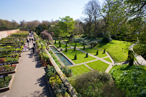 site_photo2
