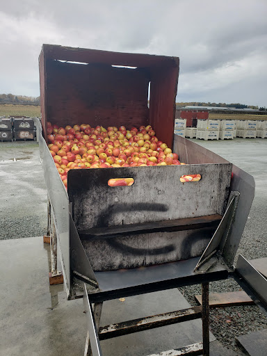 Cedardale Orchards - Visual