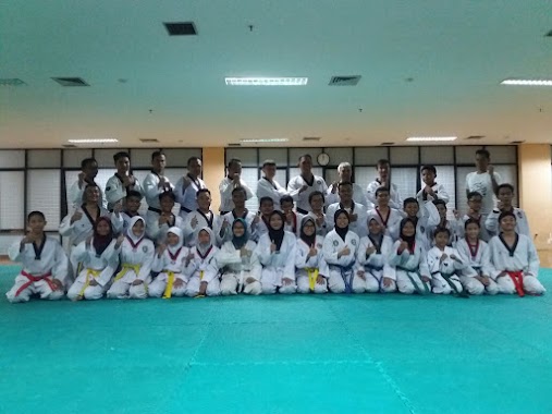 TAEKWONDO SACTI CLUB INDONESIA, Author: Temy Nasution