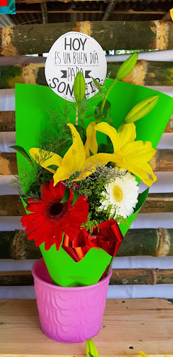 Floreria OCOTLAN