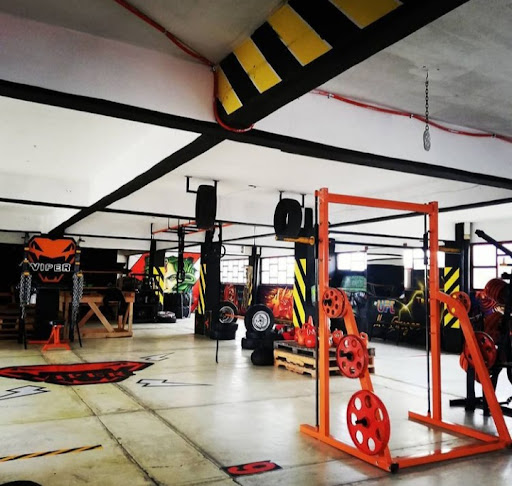 Crossfit Viper