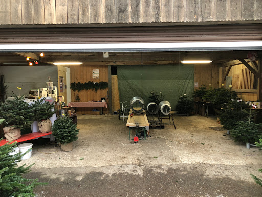 Christbam, Christbäume, Christbaum, Christbaumverkauf, Vachendorf Erlstätt Traunstein NEU Hüpfburgverleih - Thumbnail