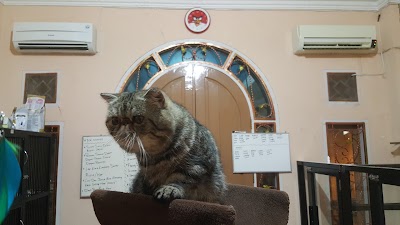 Photos of Clara Cleo Petshop & Grooming Center