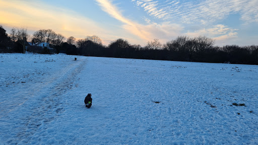 Hilly Fields - Visual