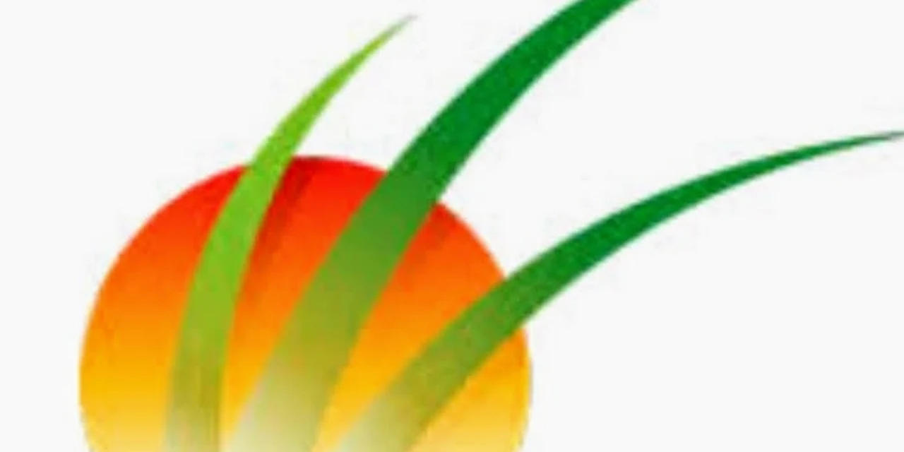 Sunworks Tree Services