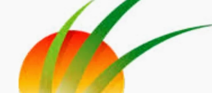 Sunworks Tree Services