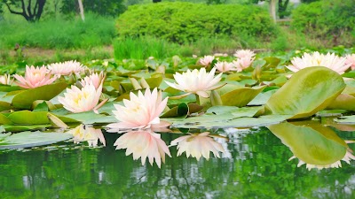 Photos of Hetang Yuese