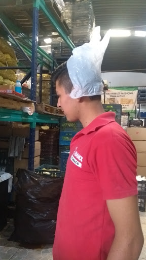 BAMX HIDALGO - Banco de Alimentos del Centro del Estado de Hidalgo - Thumbnail