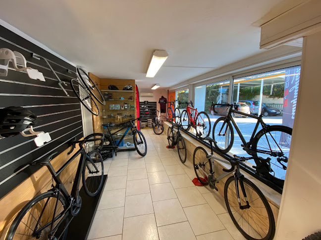 expert bike