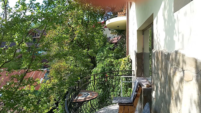 Opinii despre Pensiunea Top Demac în Slănic - Hotel