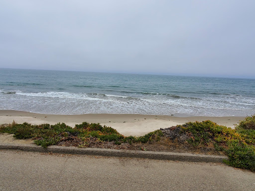 Hobson Beach Park - Thumbnail