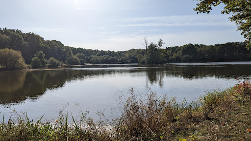 L Étang Neuf, Sillé-le-Guillaume