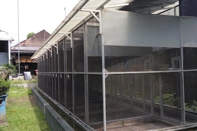 Photos of Peternakan Perkutut JNJ Bird Farm Jogjakarta