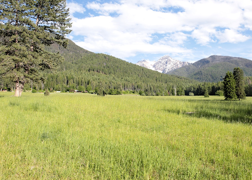 Cheff Ranch - Visual