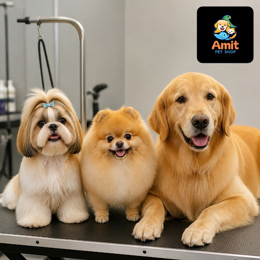 Give your furry friend a grooming experience designed specially for their breed. At Amit Pet Shop… post image