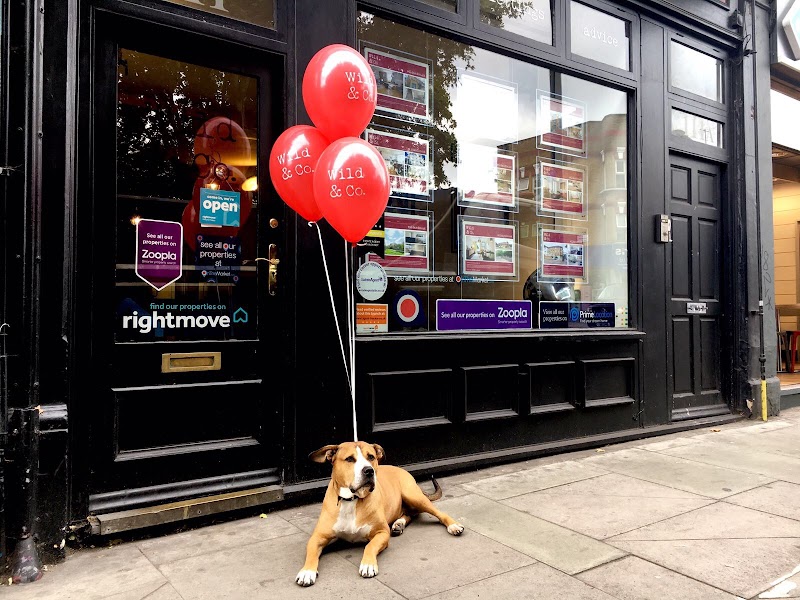 Wild & Co Property Services Ltd photo 2