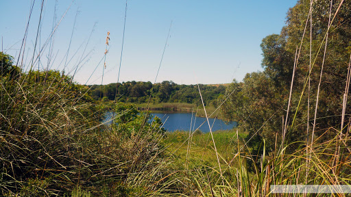 Riserva Naturale Lago Preola e Gorghi Tondi - Thumbnail